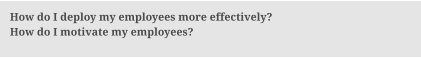 How do I deploy my employees more effectively? How do I motivate my employees?